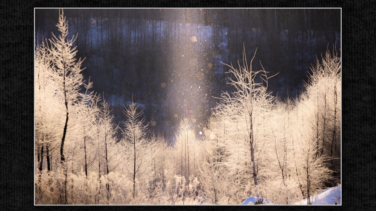 北海道の知られざる絶景2025】“奇跡の一瞬”を追い続ける風景写真家