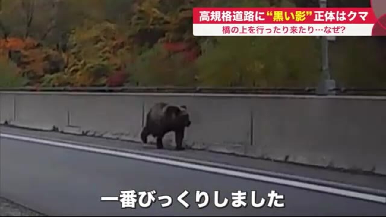 北海道ニュース Uhb Uhb 北海道文化放送