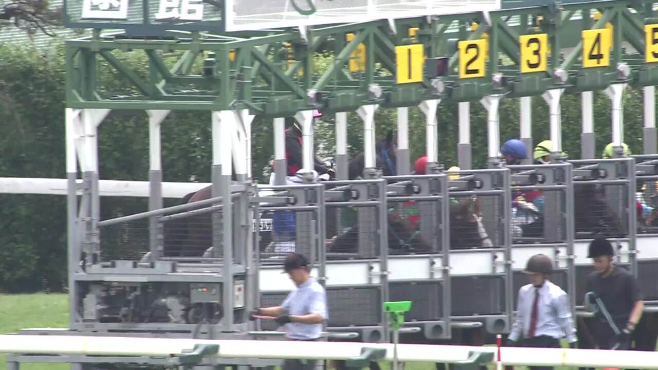 函館競馬】5Rメイクデビュー函館はロードカナロア産駒、小林美駒騎手の