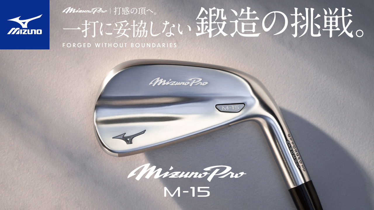 【新品未使用】MIZUNO PRO ミズノ プロ PS2 29cm Mizuno Pro 交換往復送料無料 野球 スパイク 金具 黒 ミズノプロ