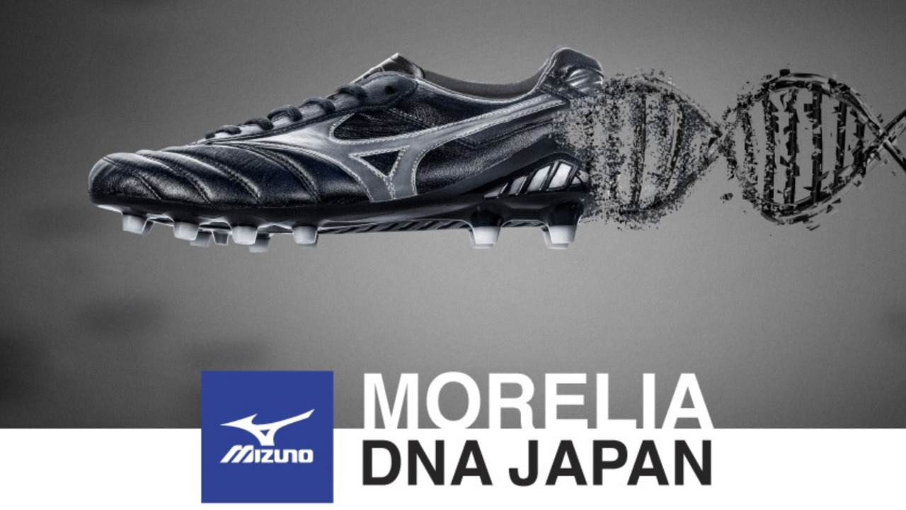 MORELIA DNA JAPAN