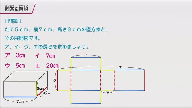 動画で学習 16 直方体と立方体 その１ 算数
