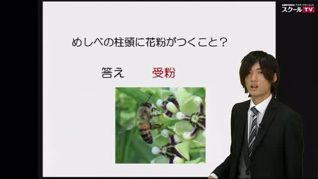 動画で学習 1章 花のつくりとはたらき 理科