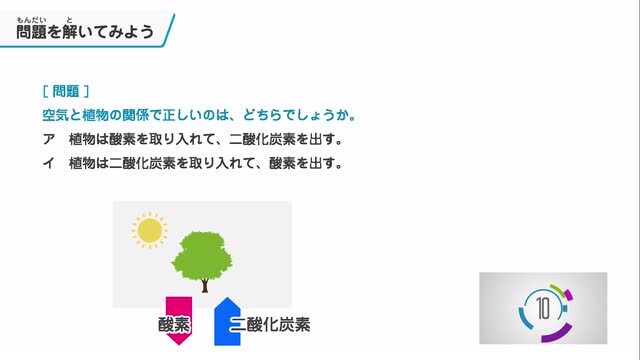 動画で学習 2 生き物と空気とのかかわり 理科