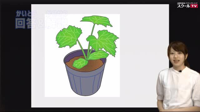 2　植物の成長 | 理科