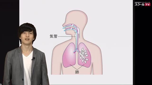 動画で学習 2 呼吸のはたらき 理科