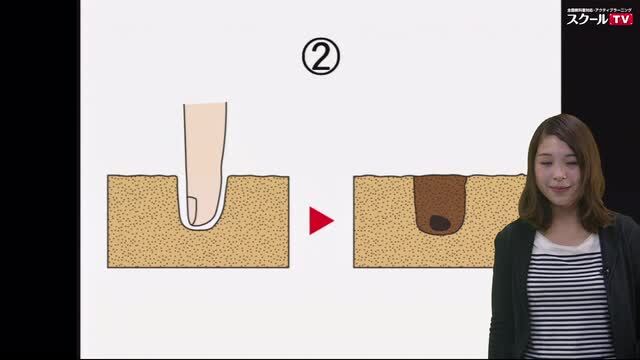 動画で学習 ３ 植物の育ち方 １ 植物を育てよう その１ 理科