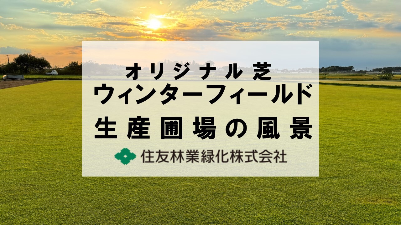 住友林業緑化株式会社｜造園・エクステリアの資材｜オリジナル商品一覧