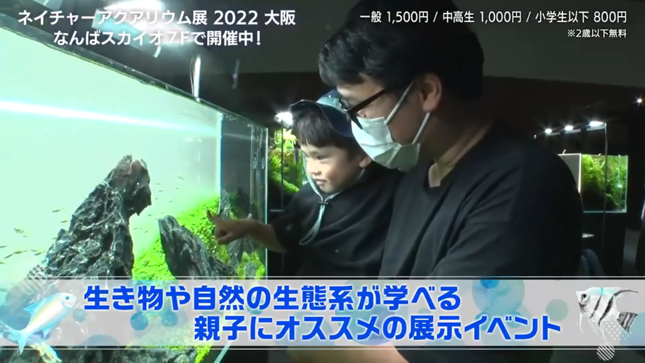 NATURE AQUARIUM 展 | テレビ大阪