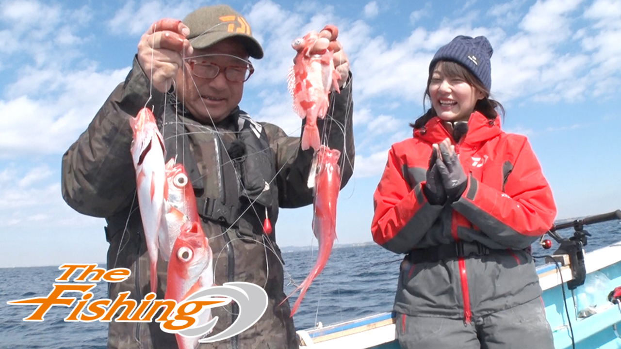 Daiwa キンメアコウメバル 深海300号 24 Daiwa キンメアコウメバル 深海300号 24 Daiwa キンメアコウメバル