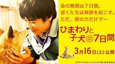 ひまわり と 子犬 安い の 7 日間 本