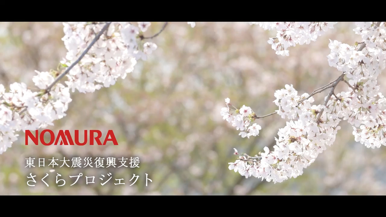 さくらプロジェクト2024年 | サステナビリティ | メディアギャラリー