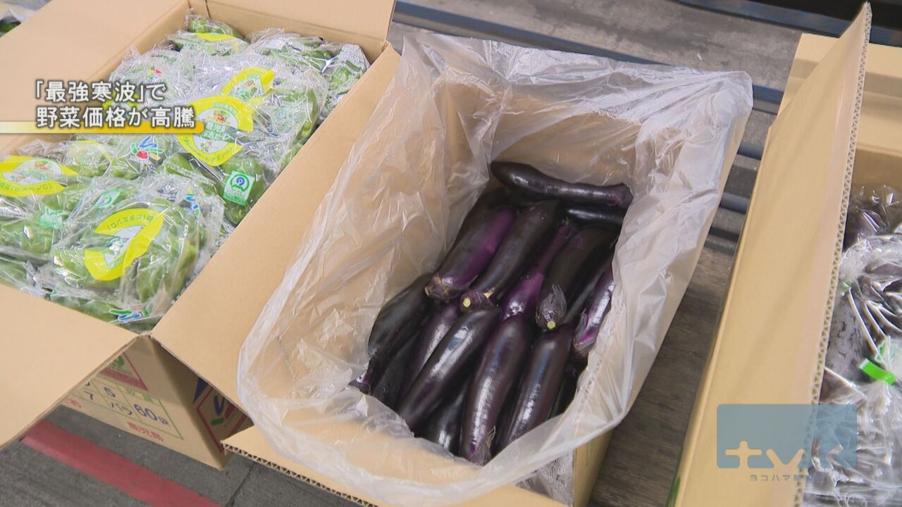 「最強寒波」到来で野菜価格も高騰　神奈川県