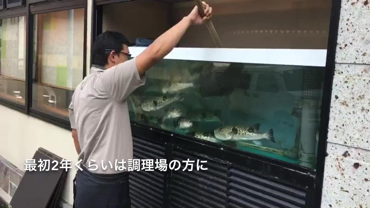 ふぐ料理 百福の正社員の求人情報 No バイト アルバイト パートの求人情報ならバイトル