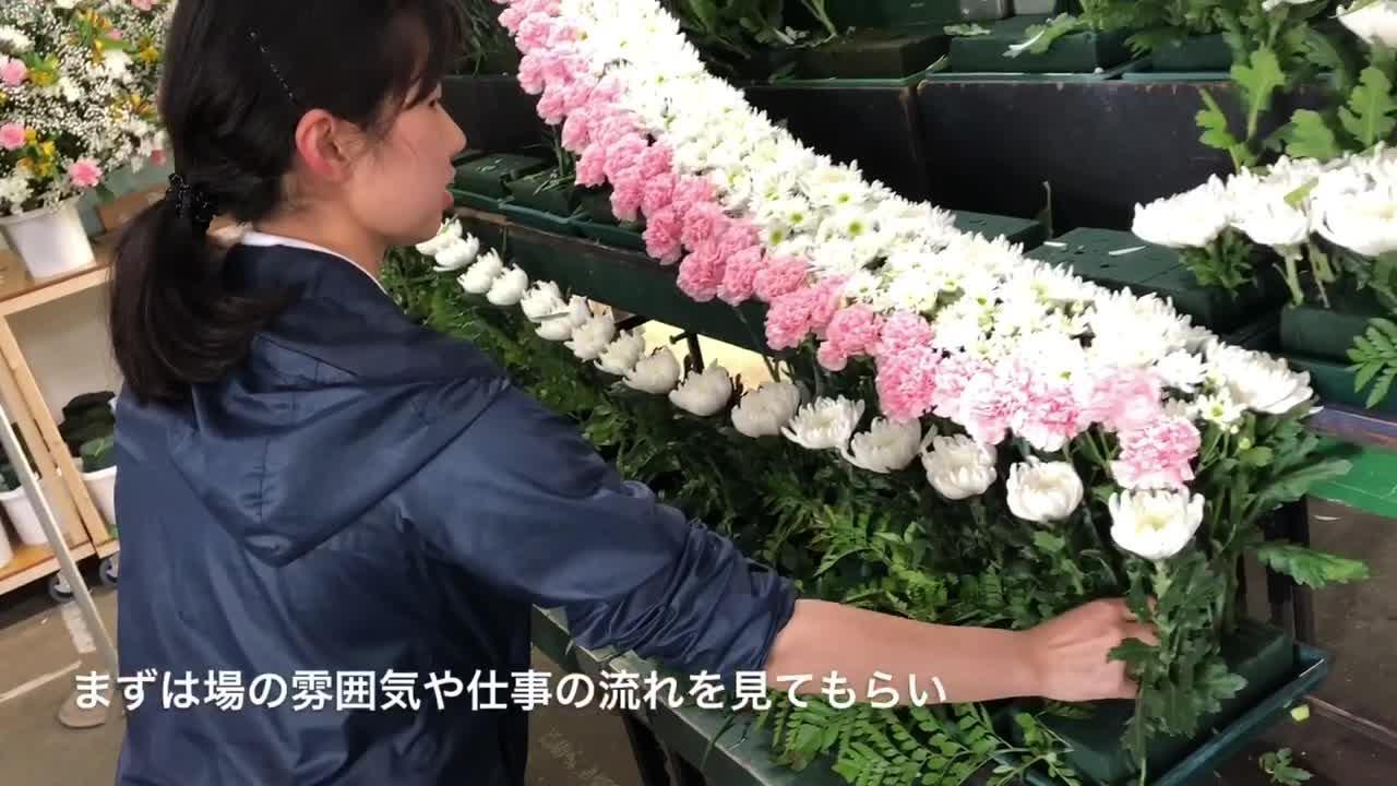 株式会社フォーシーズンズのアルバイト パートの求人情報 No バイト アルバイト パートの求人情報ならバイトル 株式会社フォーシーズンズのアルバイト パートの求人情報 No バイト アルバイト パートの求人情報ならバイトル