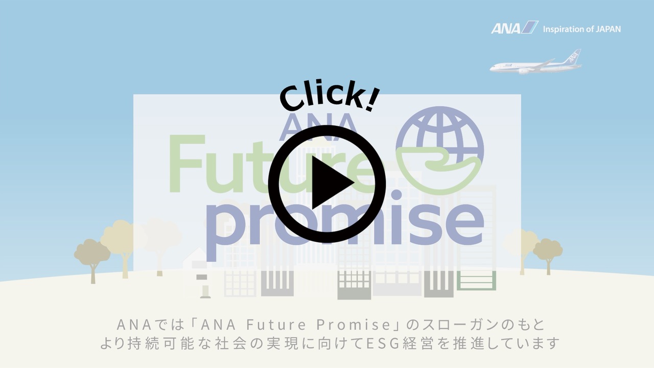 ANA Future Promise|ANA