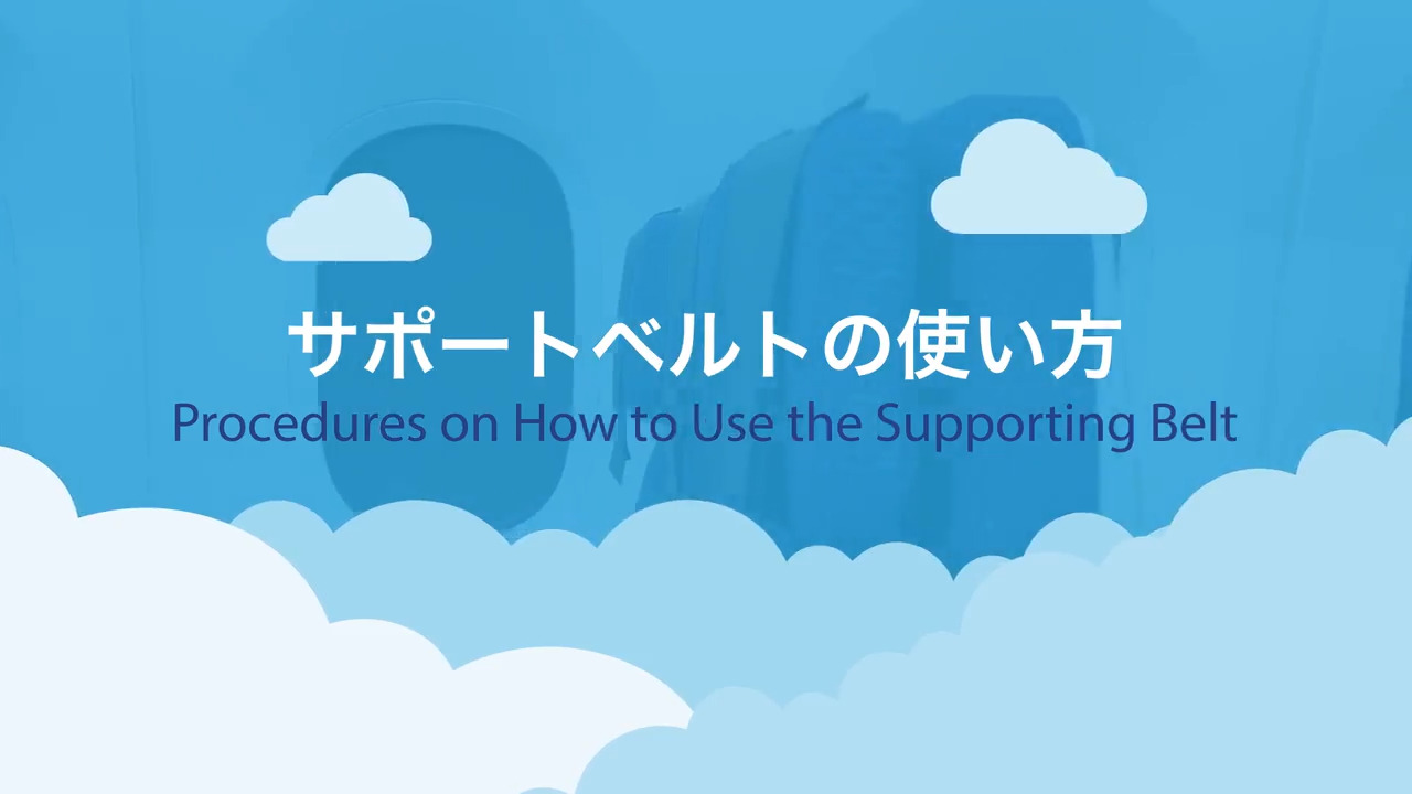 飛行機搭乗の際 アシストシート サポートベルトをご希望のお客様 Service Info Ana