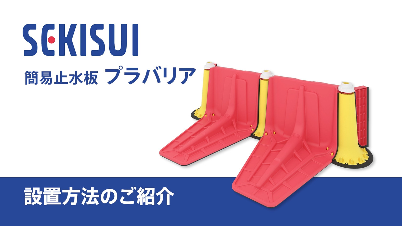 プラバリア メイン SPBMPR2 1セット2個入