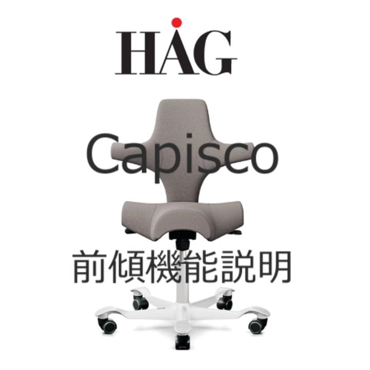 おまとめ Capisco様 PLUS WEB CATALOG | チェア | HÅG | 601-256