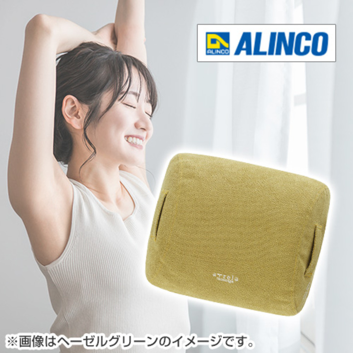 アルインコ(ALINCO) MCR8122C(スムースクリーム) コードレスクッション