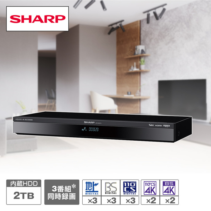 シャープ レコーダー 4Kレコーダー 約2TB 4B-C20GT3 HDMIケーブル