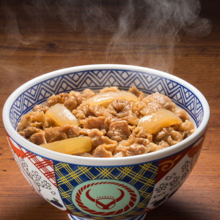 食品（加工品） 吉野家牛丼の具30食セット 通販【ジャパネット