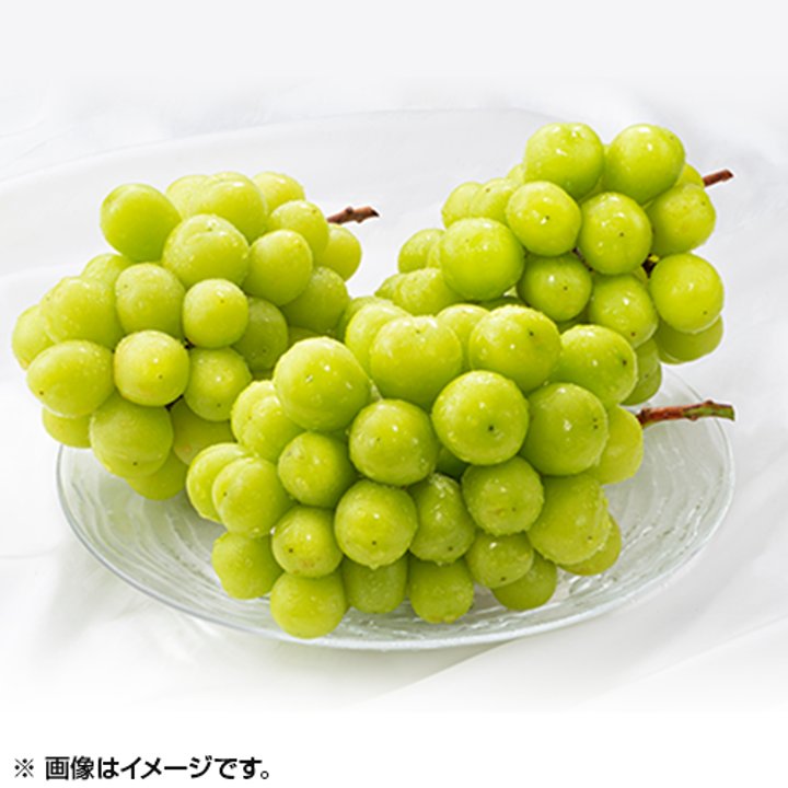 食品（生鮮品） シャインマスカット 約1.8kg 通販【ジャパネット公式】