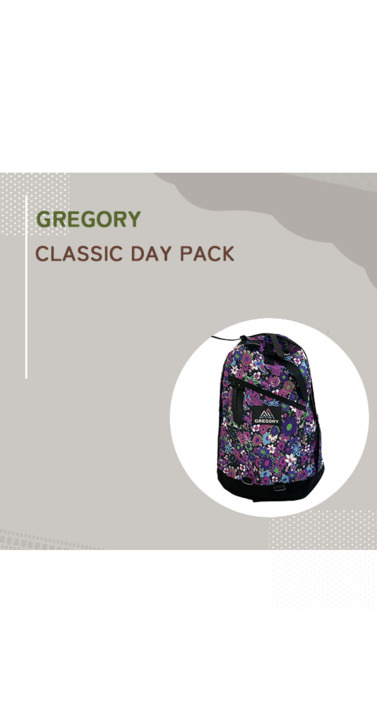 グレゴリー デイパック 美品 GREGORY グレゴリー【SALE20%OFF】国内限定 65469A589 国内正規