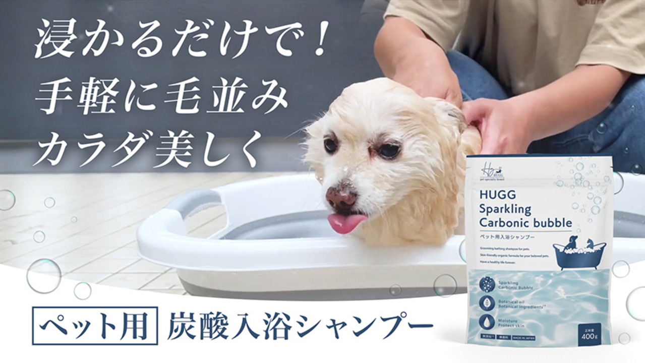 楽天市場】【楽天1位☆高評価レビュー4.50！】浸るだけで洗浄