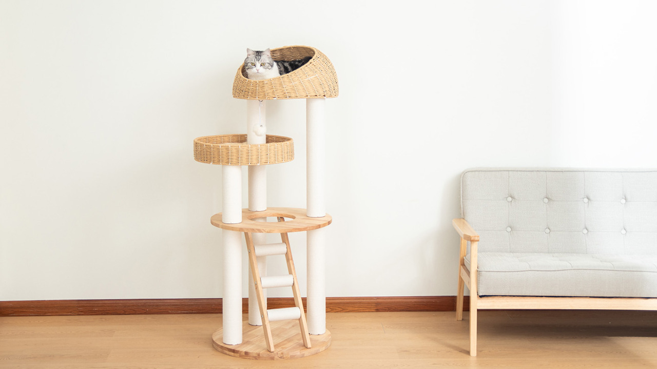 キャットタワー 木製 大型 天然木使用 据え置き 大型猫 おしゃれ ラバーウッド 楽天市場】キャットタワー 木製 大型猫 据え置き 猫タワー