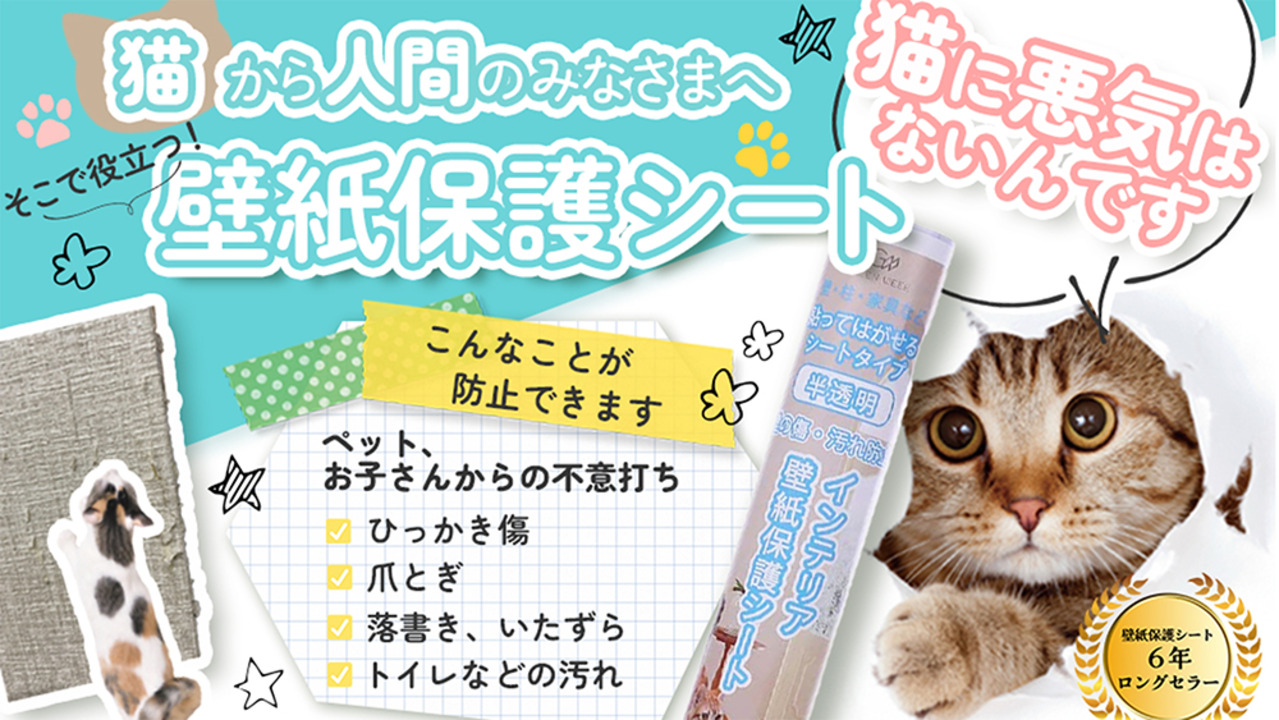 楽天市場】壁紙 保護シート 90cm×2.5m （はがせる粘着タイプ：弱） 半透明 壁の傷、汚れ、猫 壁 ひっかき、爪とぎ防止 :  グリーンウィーク楽天市場店