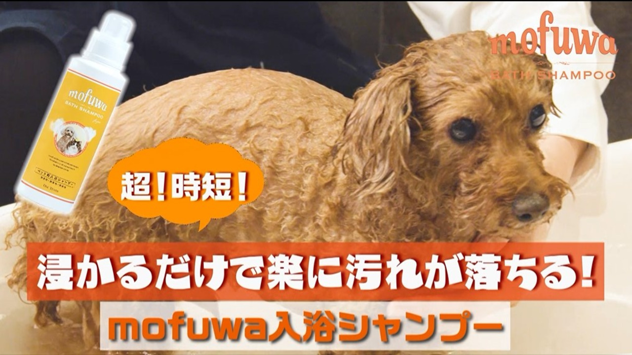 楽天市場】【25％オフ☆マラソン限定】【公式】 mofuwa入浴