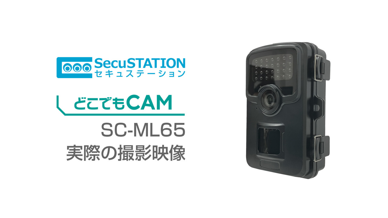防犯カメラ見守りカメラ 5点セット Z wave ゲートウェイ人感 防犯カメラ見守りカメラ 5点セット Z wave ゲートウェイ人感