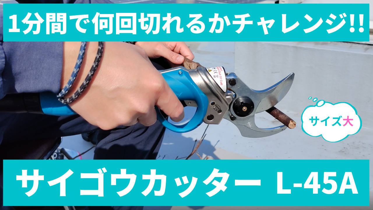 楽天市場】動画あり☆ 電動剪定ばさみ サイゴウカッター L-45A プロ仕様 はさみ ハサミ 充電式 : バイヤーsanwaweb