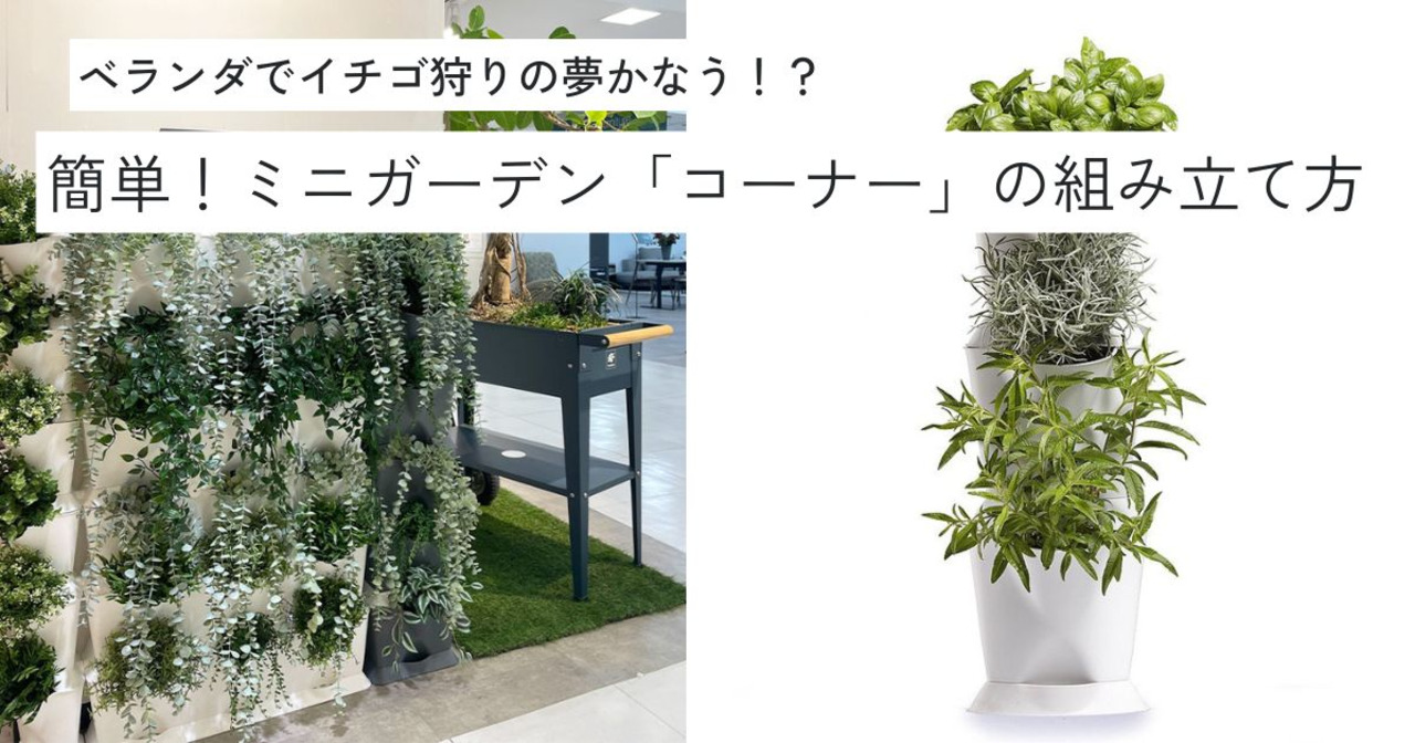 楽天市場】【Buy１Get１Free】1個買うと1個ついてくる！ 壁面プランター Minigarden Corner 3段 重なるプランター ベランダ菜園  ガーデニングプランター ミニガーデンコーナー : Wexthuset Japan