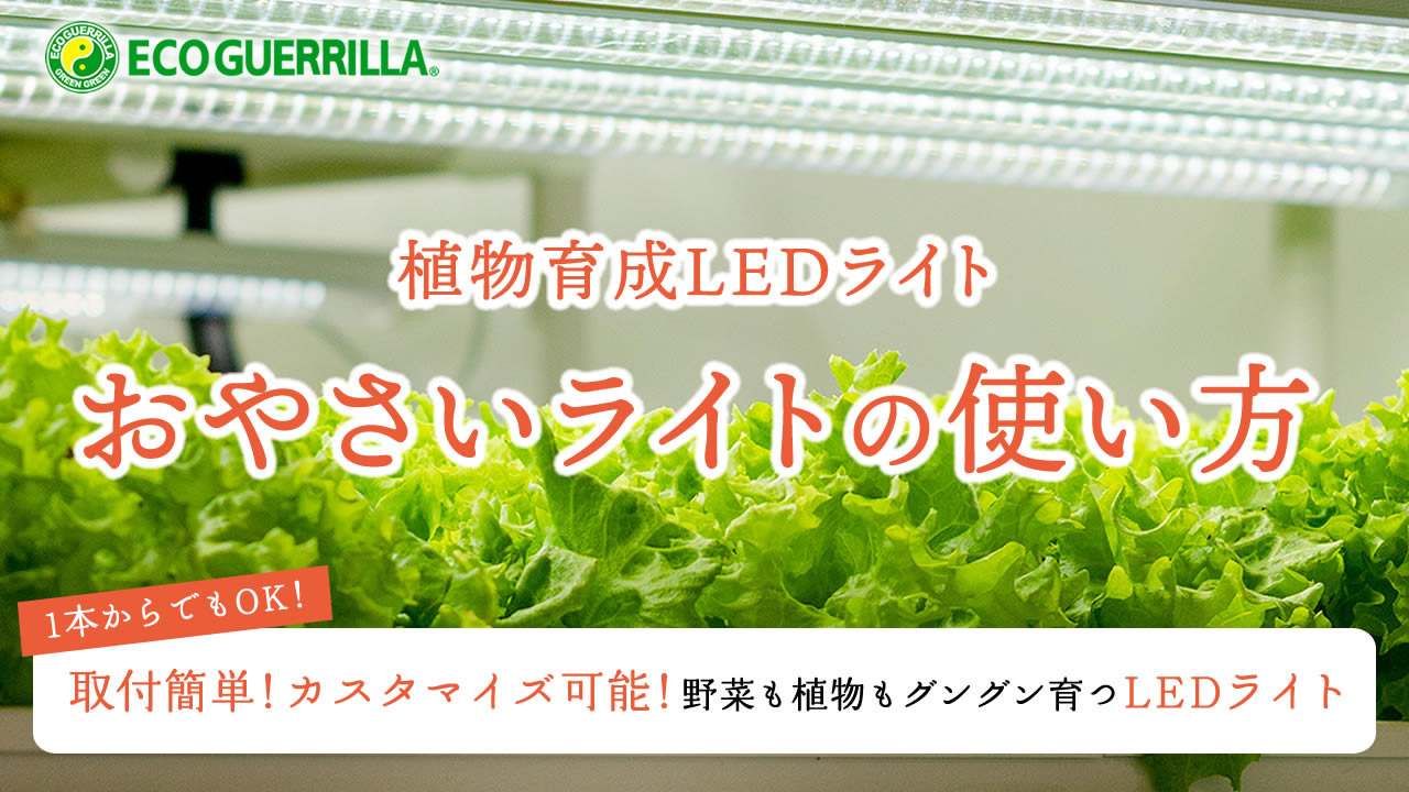 【7月限定10OFF】植物育成ライト led 水耕栽培 ledライト GG新型おやさいライト 日本製 1200mm GGA120 直送  水耕栽培専門店のエコゲリラ