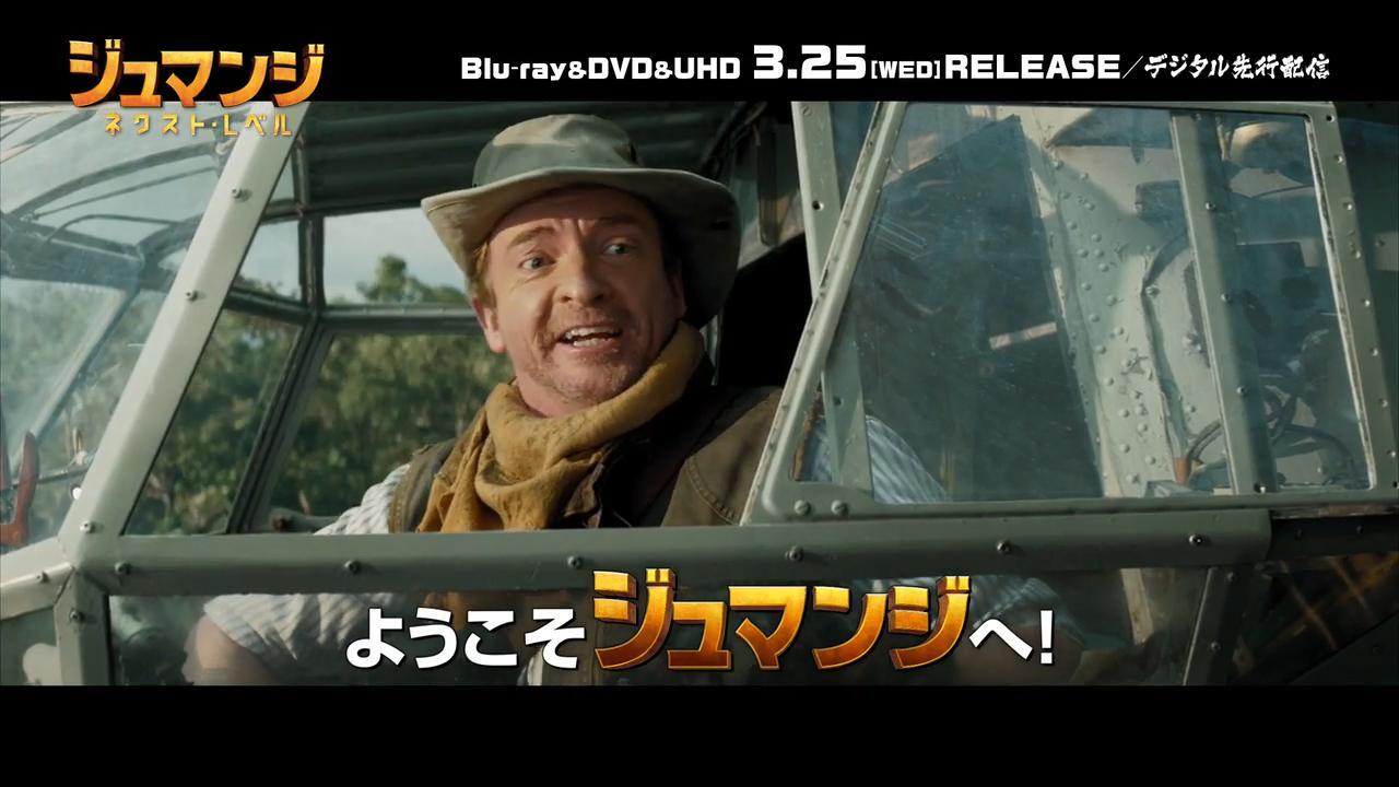 楽天ブックス:『ジュマンジ／ネクスト・レベル』Blu-ray&DVD 2020.3.25 ON SALE