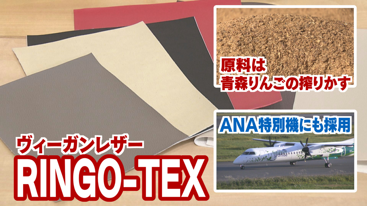 top | 廃棄りんごで作ったレザー⁉︎ エコでおしゃれな「RINGO
