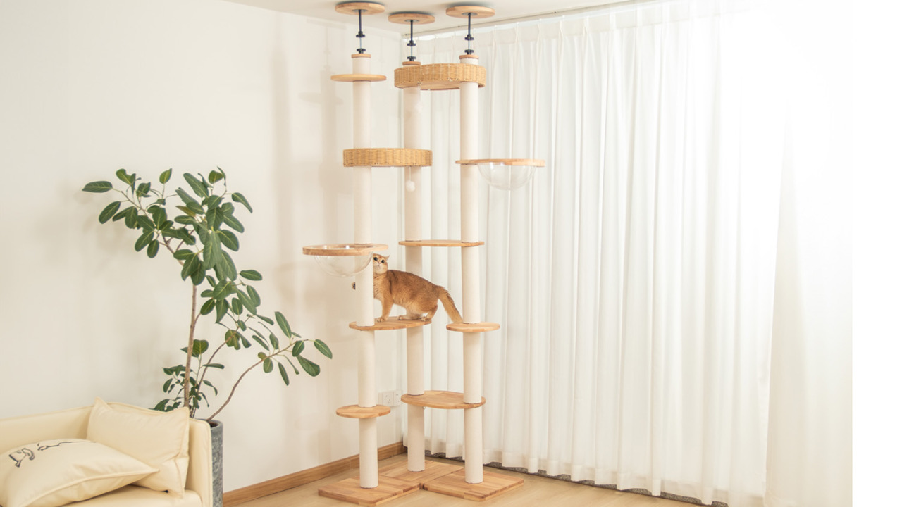 ほぼ新品／キャットタワー 突っ張り式 木製 日本製インテリア おしゃれ デザイン Amazon | 【OMOTENASHIセレクション2023特別賞受賞】 キャット