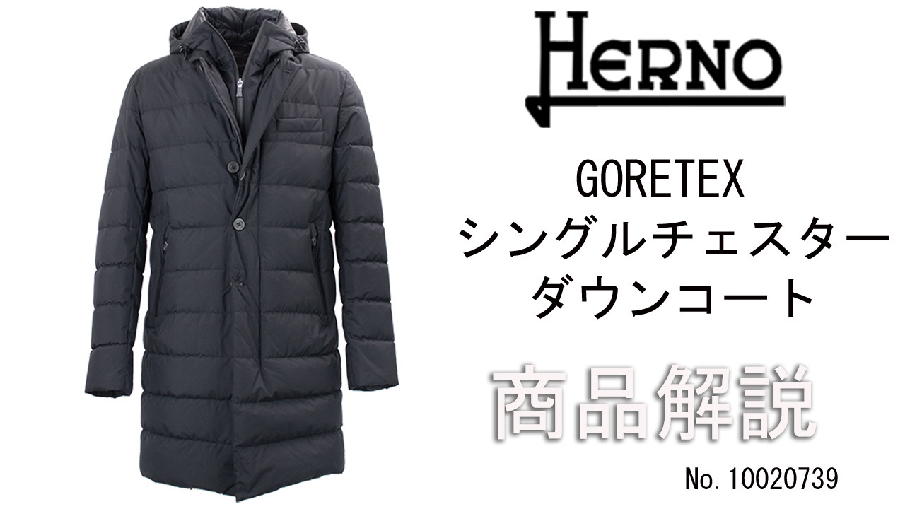 超人気の LAMINAR ヘルノ HERNO GORE-TEX ブラック ジップアップ