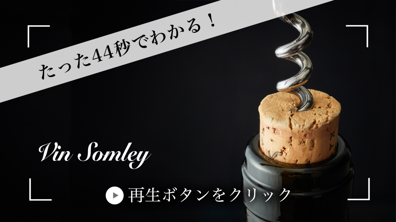 ソムリエール１から２１まで 60/1バイオシルケットスムース[027P0006280] | STYLEM FABRIC STORE