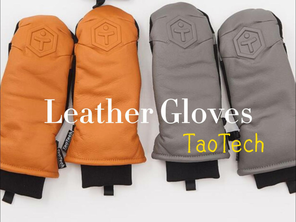 楽天市場】【TaoTech】 スノーボード スキー グローブ 本革 本皮