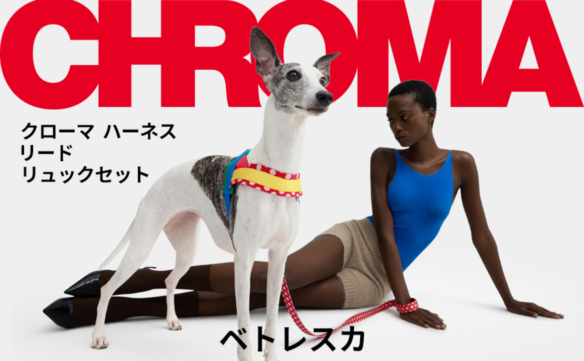 楽天市場】【LINE登録で12％オフ】 VETRESKA 【公式】CHROMA