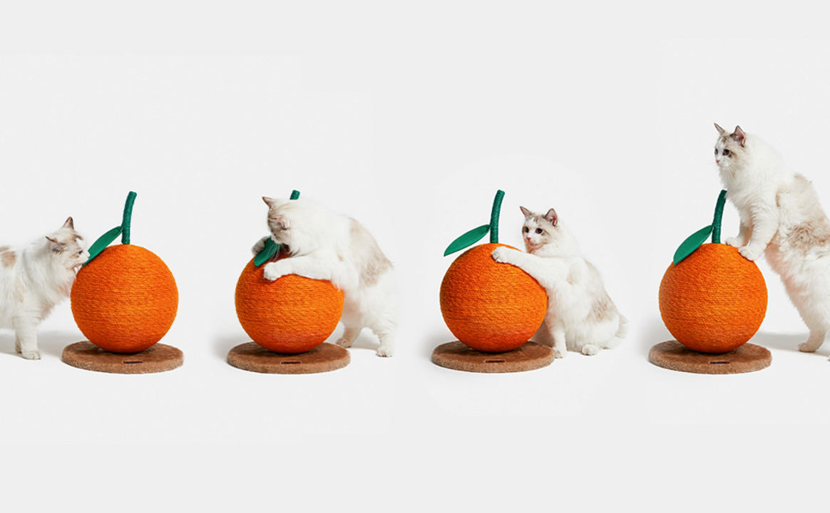 Amazon.co.jp: 【OFT】 HY CAT ラージ 猫トイレ 大型 本体