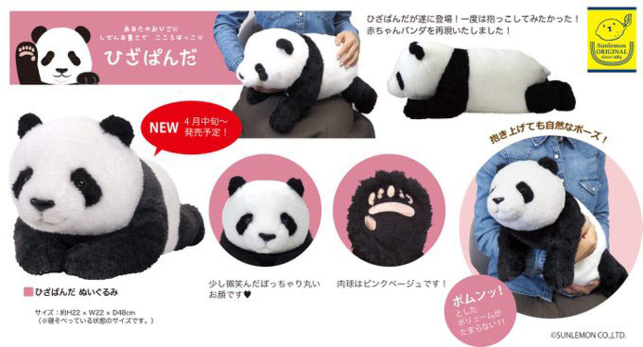 SUN LEMON　 /　サンレモン ◆ひざシリーズ ぬいぐるみ ひざぱんだ M 子供用品【未使用】  [0220529719] SUN LEMON / サンレモン ひざシリーズ ぬいぐるみ ひざぱんだ M