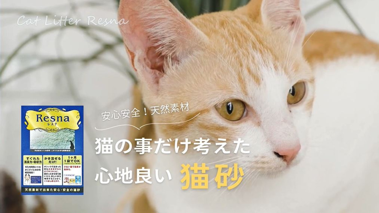 楽天市場】レスナ（3.3L：1ヶ月分)【シリカゲル 脱臭 消臭