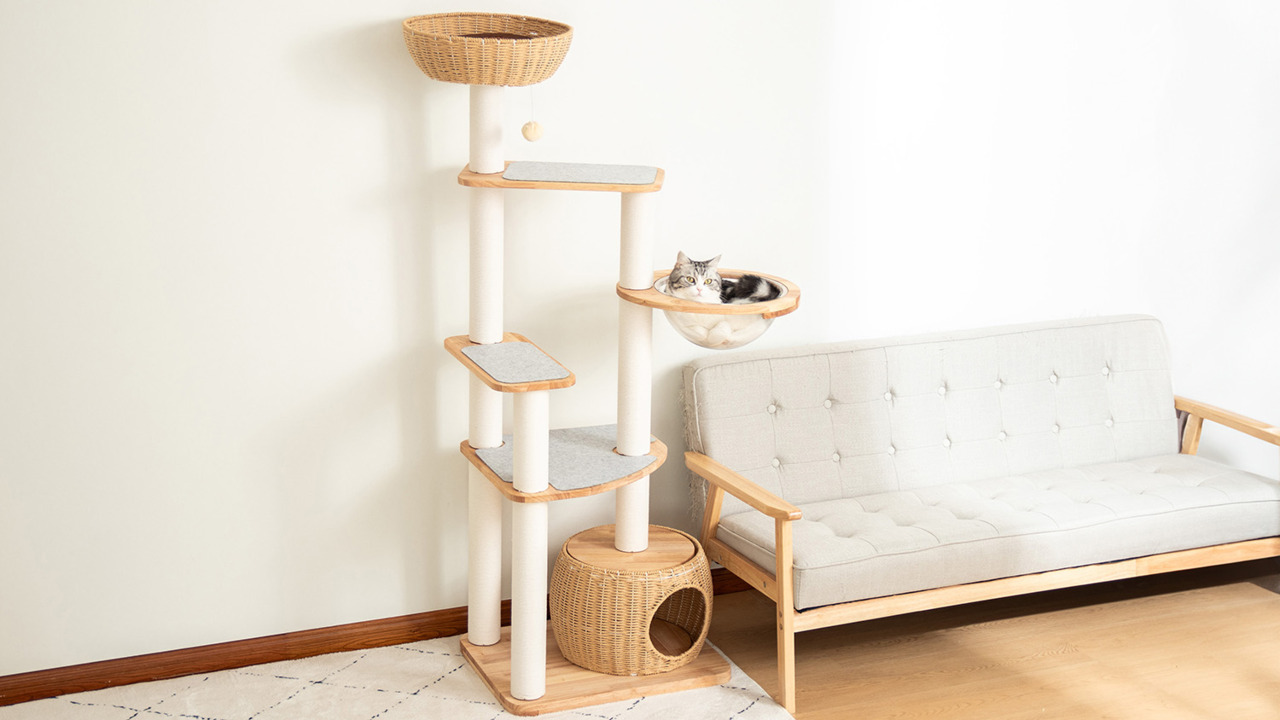 楽天市場 | ぴろはっぴ - 当店は幅広い商品とサービスを提供する