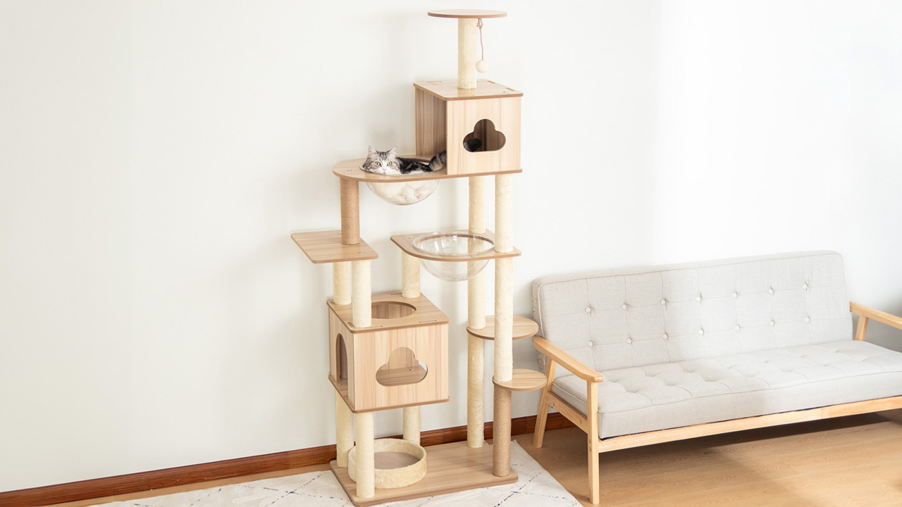 楽天市場】【多機能】 キャットタワー 木製 大型 スリム 大型猫