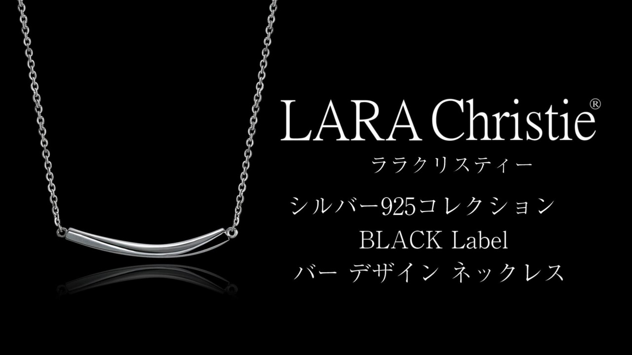 cvtvlist シルバー925 ネックレスセット CVTVLIST(カタリスト) / ネックレス/SV925/SLV/トップ有/メンズ