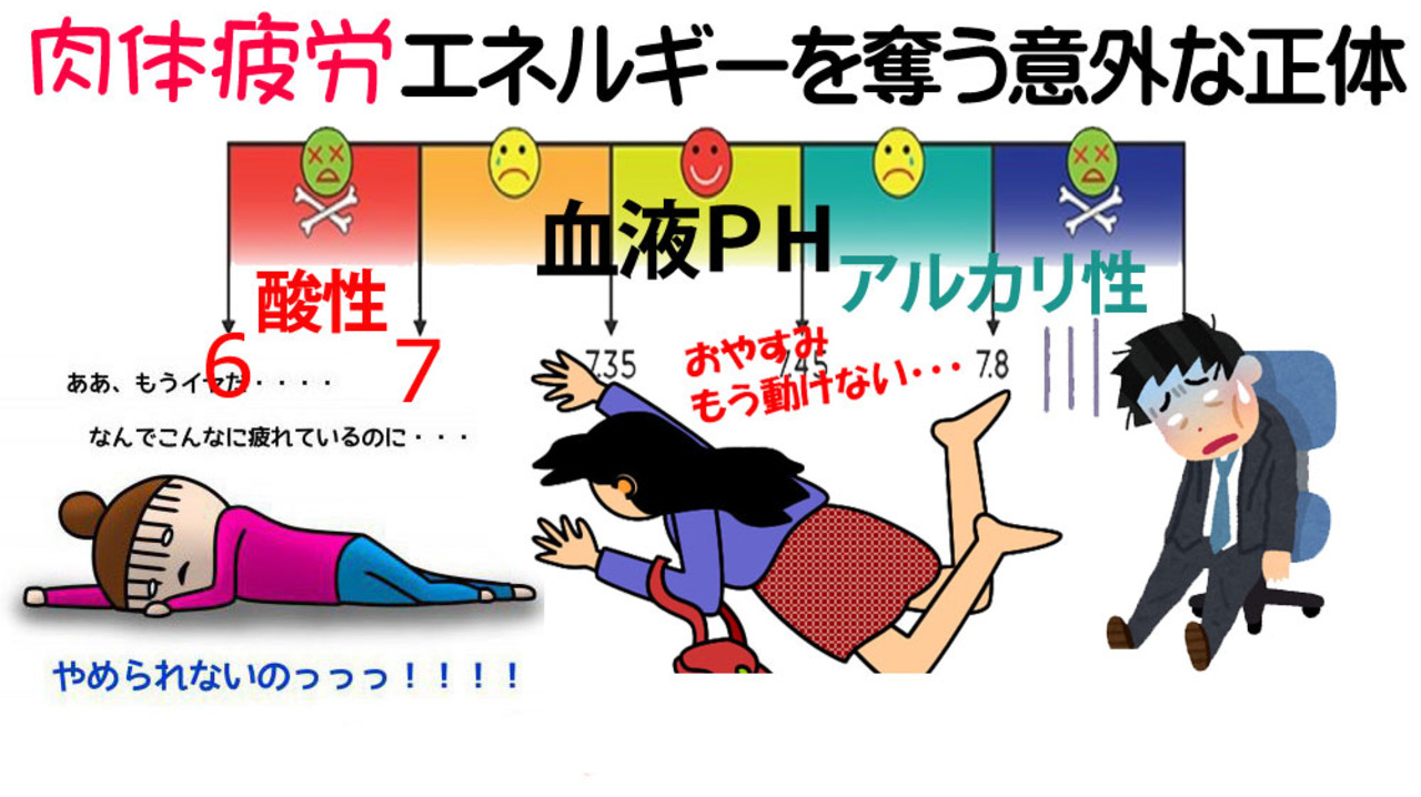 肉体疲労の正体 核酸不足